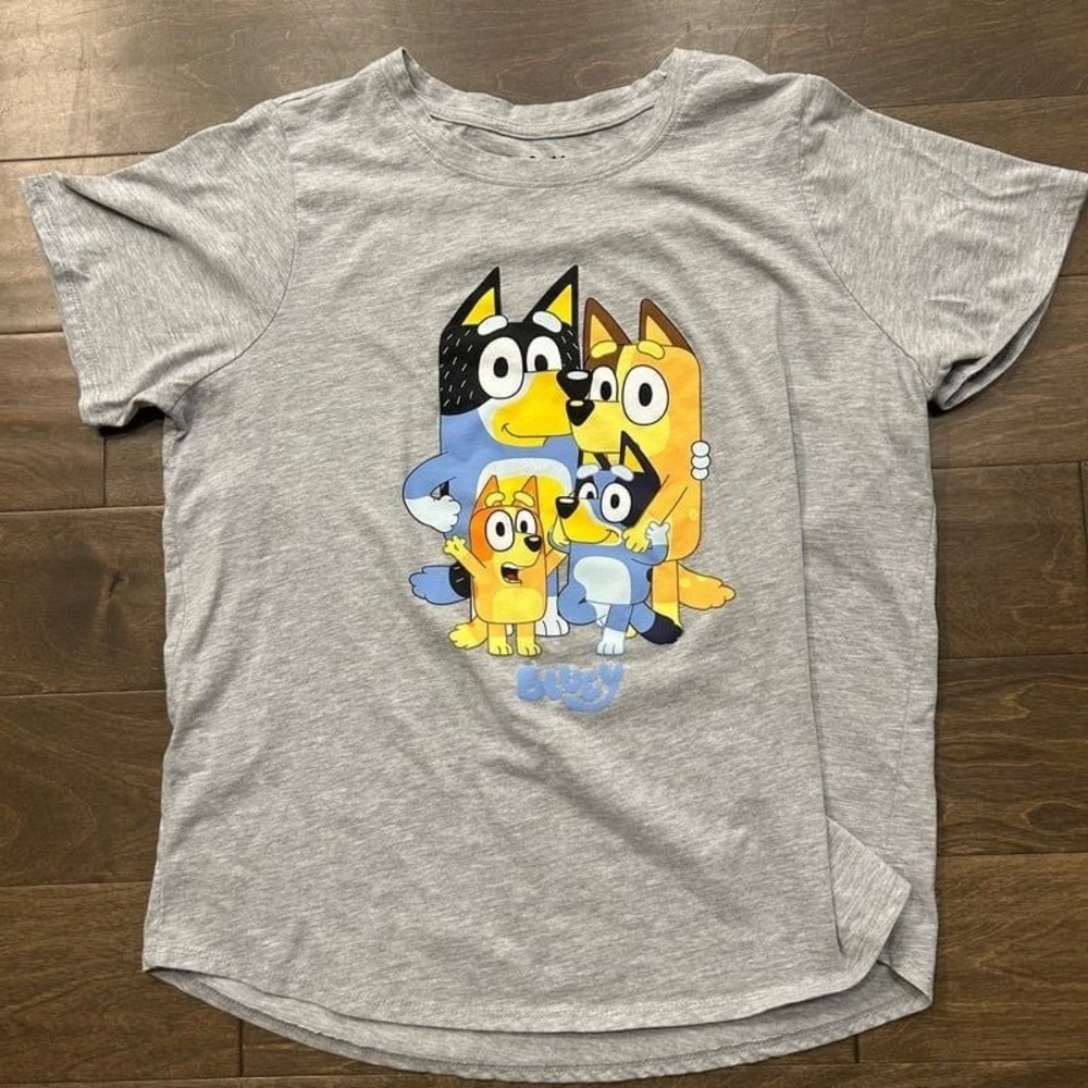 Bluey Family Graphic Tee Kids Heather Gray Short Sleeve T-Shirt‎ Size L 10/12